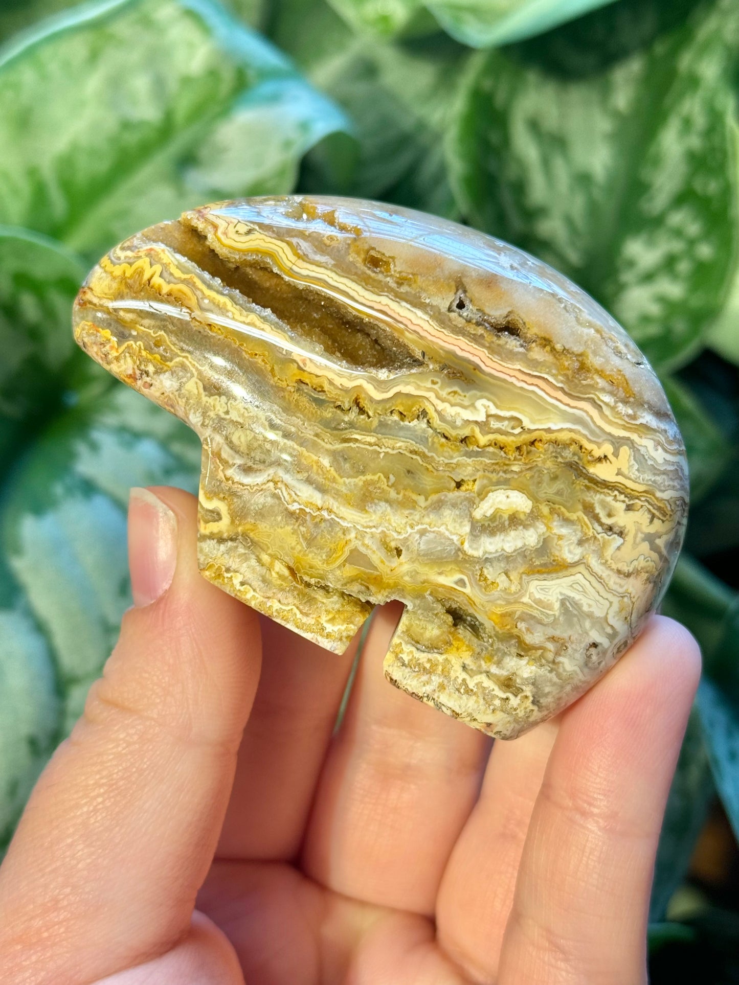 1 SM intuitive yellow crazy lace agate bear from Indonesia