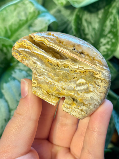 1 SM intuitive yellow crazy lace agate bear from Indonesia