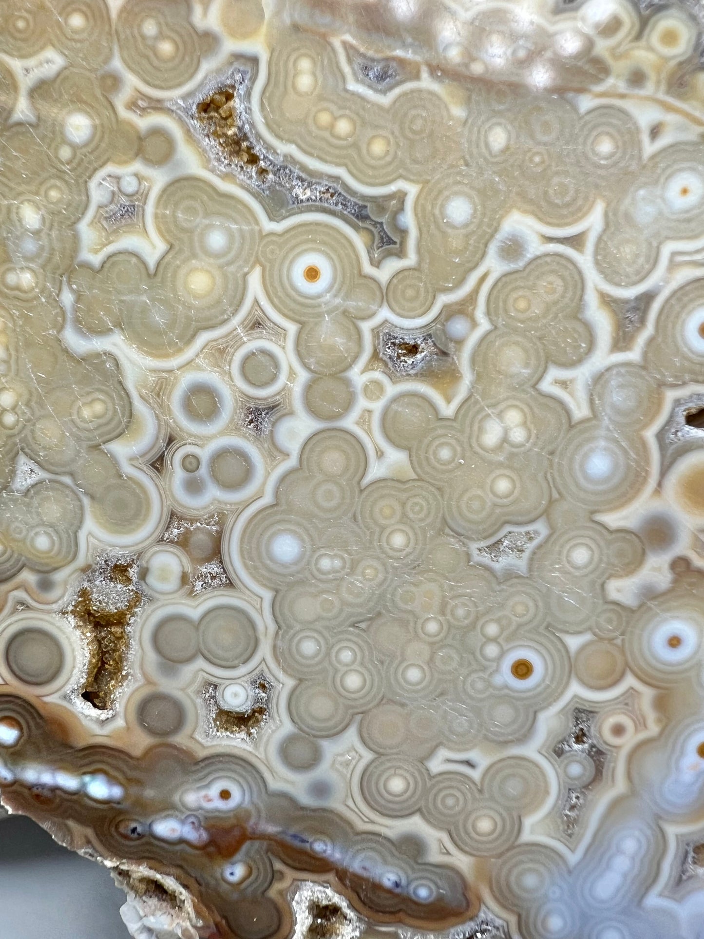 AAA yellow druzy orbicular ocean jasper slab from Madagascar