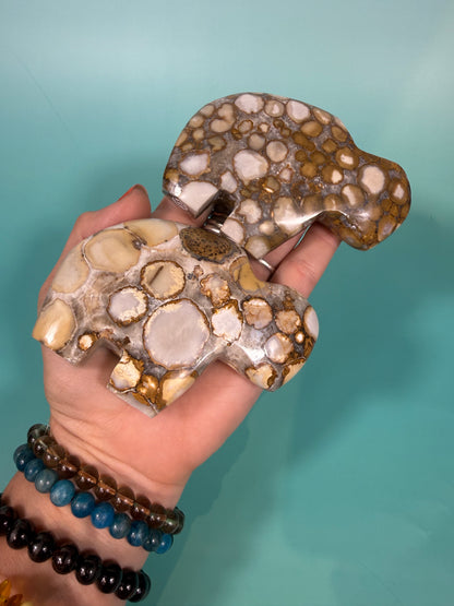 Cobra jasper buffalo