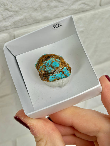 You pick! Turquoise from Arizona