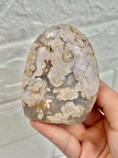 You pick! Flower agate Freeform’s from Madagascar