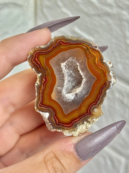 You pick! Insane Laguna agates from Chihuahua Mexico