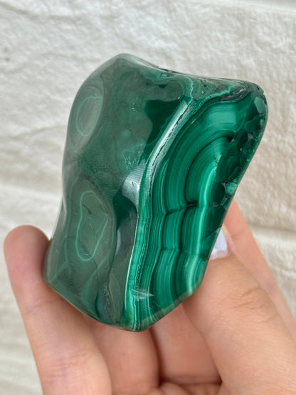 You pick! Malachite Freeform’s