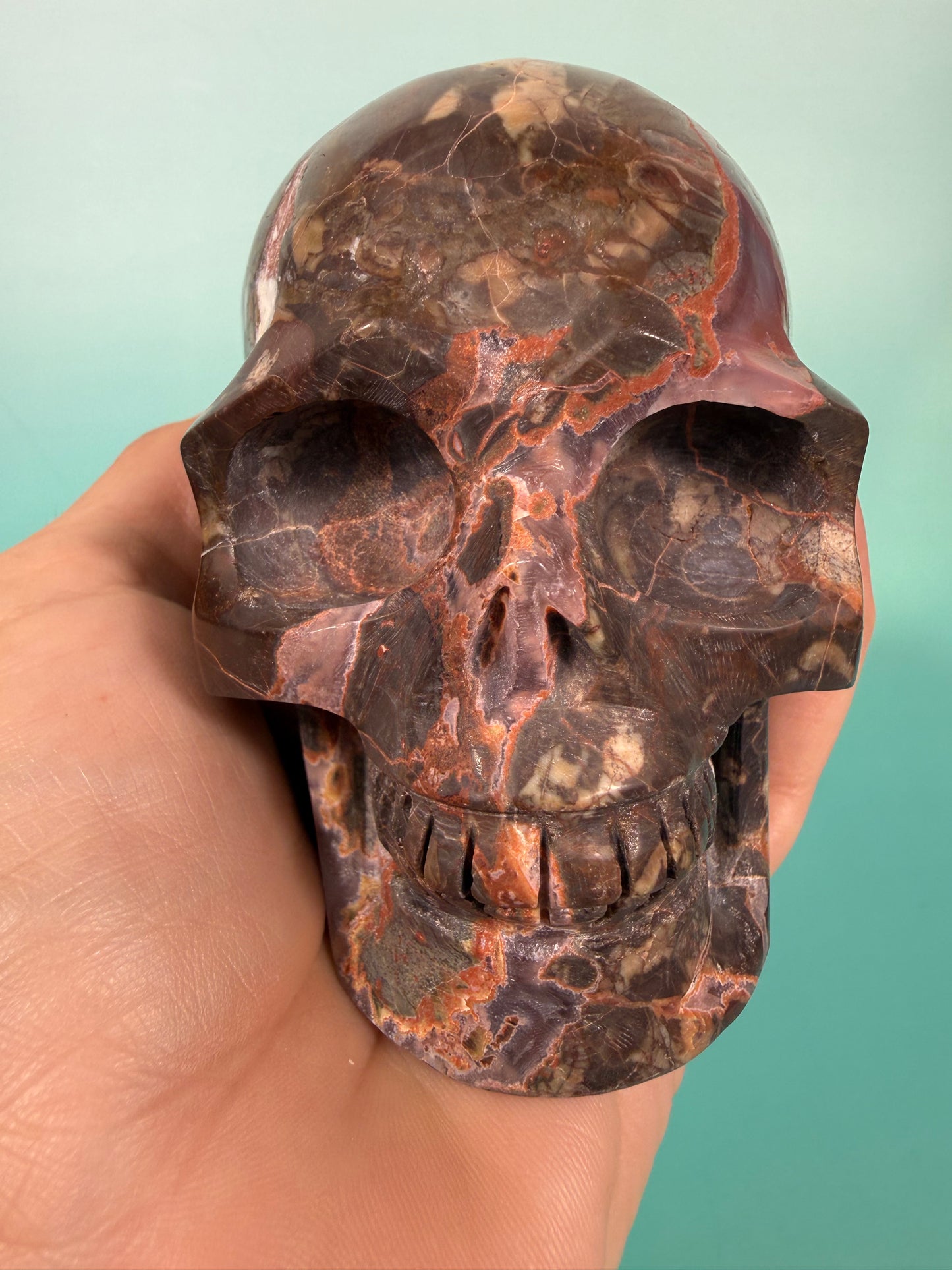 Amazing Money agate skull