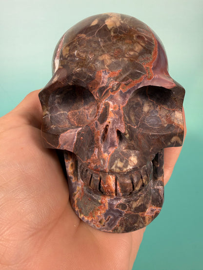 Amazing Money agate skull