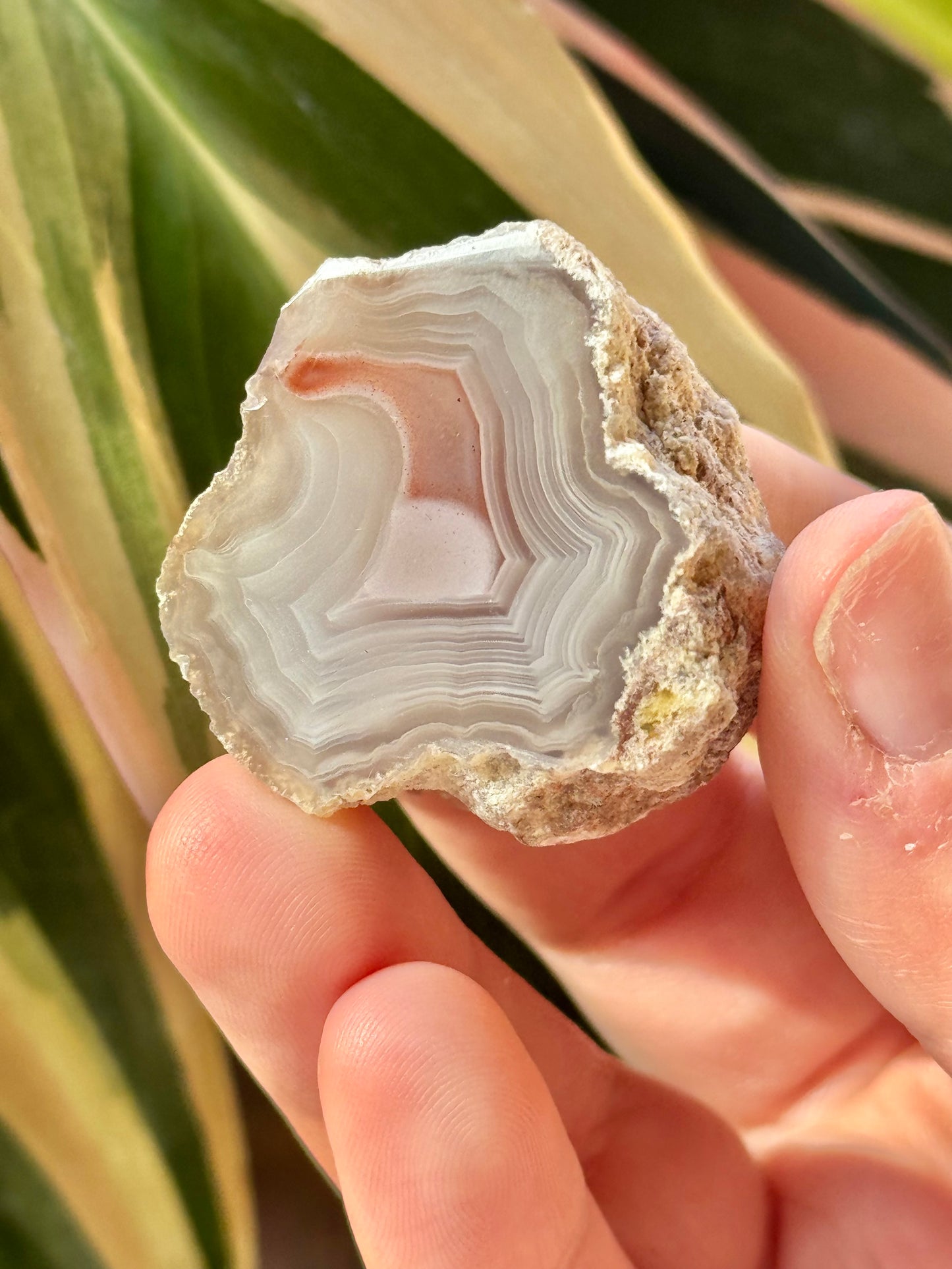 White/red laguna agate X