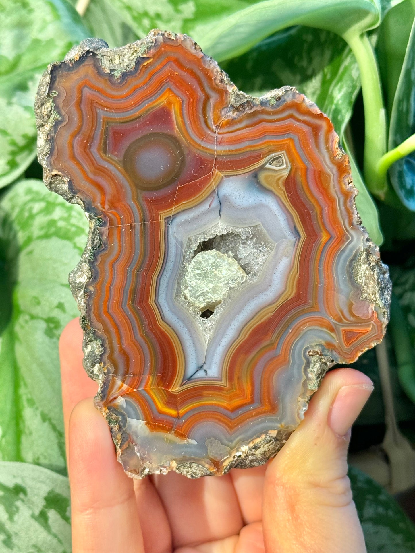 High quality banded Condor agate from Argentina B