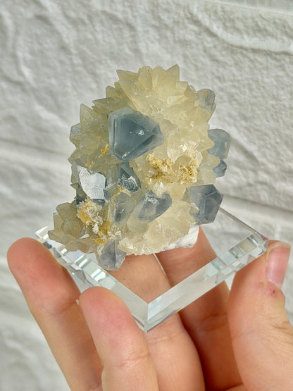 You pick! Incredible high-grade Celestine specimens from Afghanistan