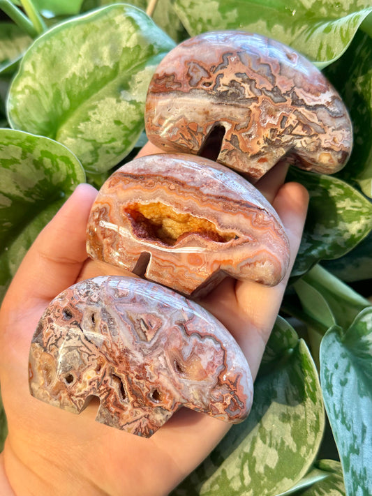 1 SM intuitive pink crazy lace agate bear from Indonesia