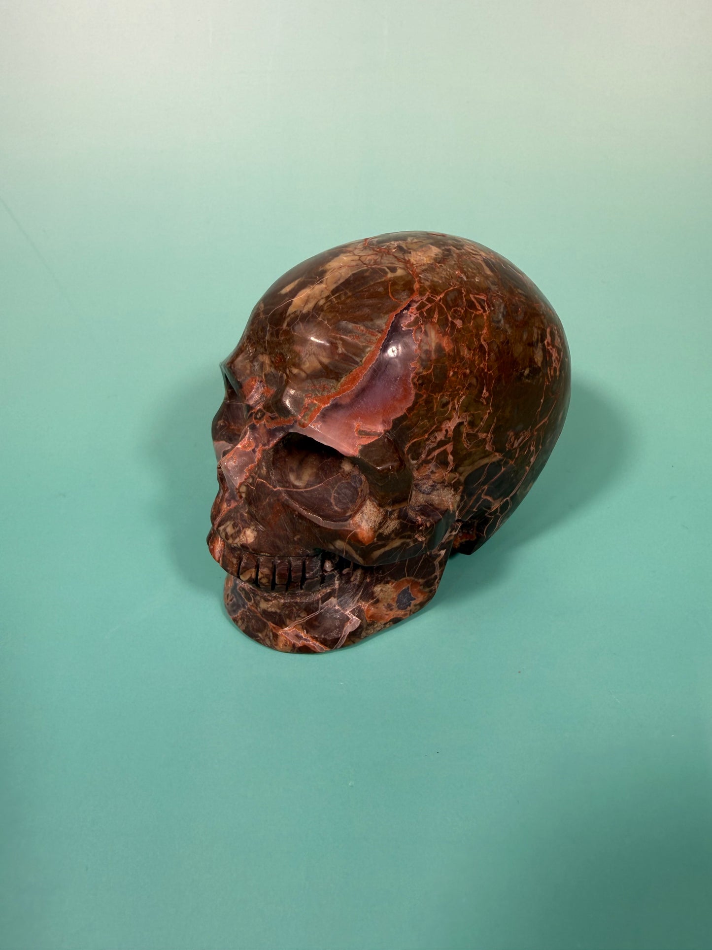 Amazing Money agate skull