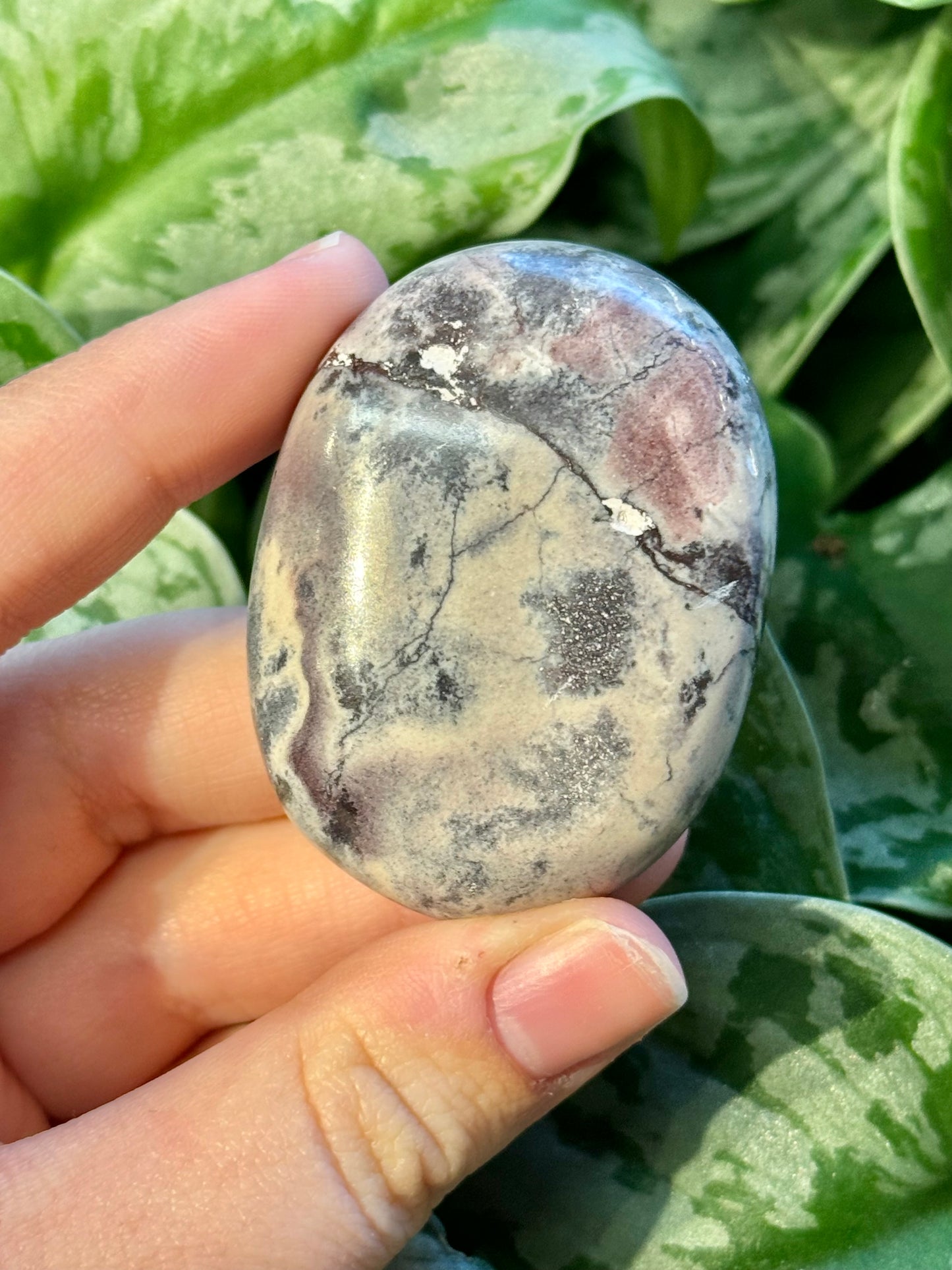 1 porcelain jasper palm stone D