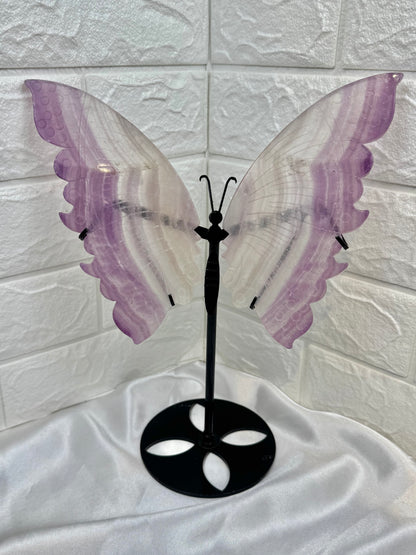 Stunning LG purple fluorite butterfly wings