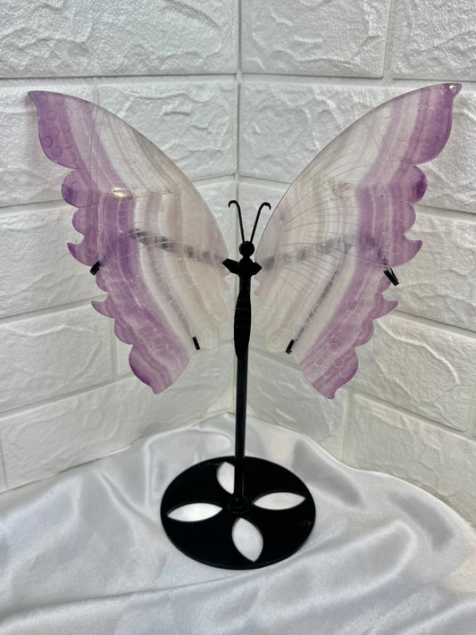 Stunning LG purple fluorite butterfly wings