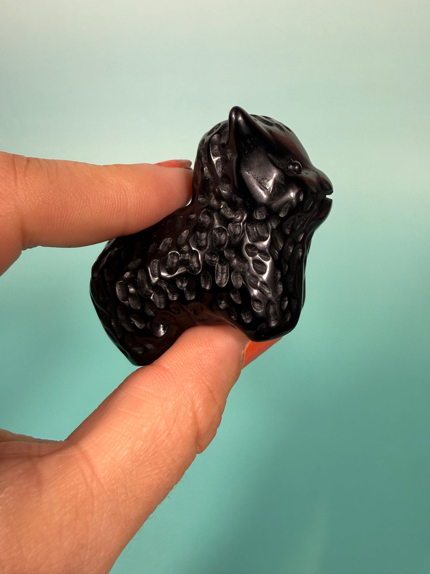 Black obsidian Highland cow