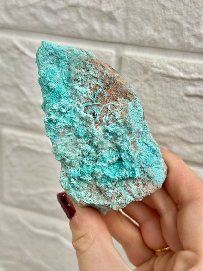 You pick! Aurichalcite specimens from Nevada