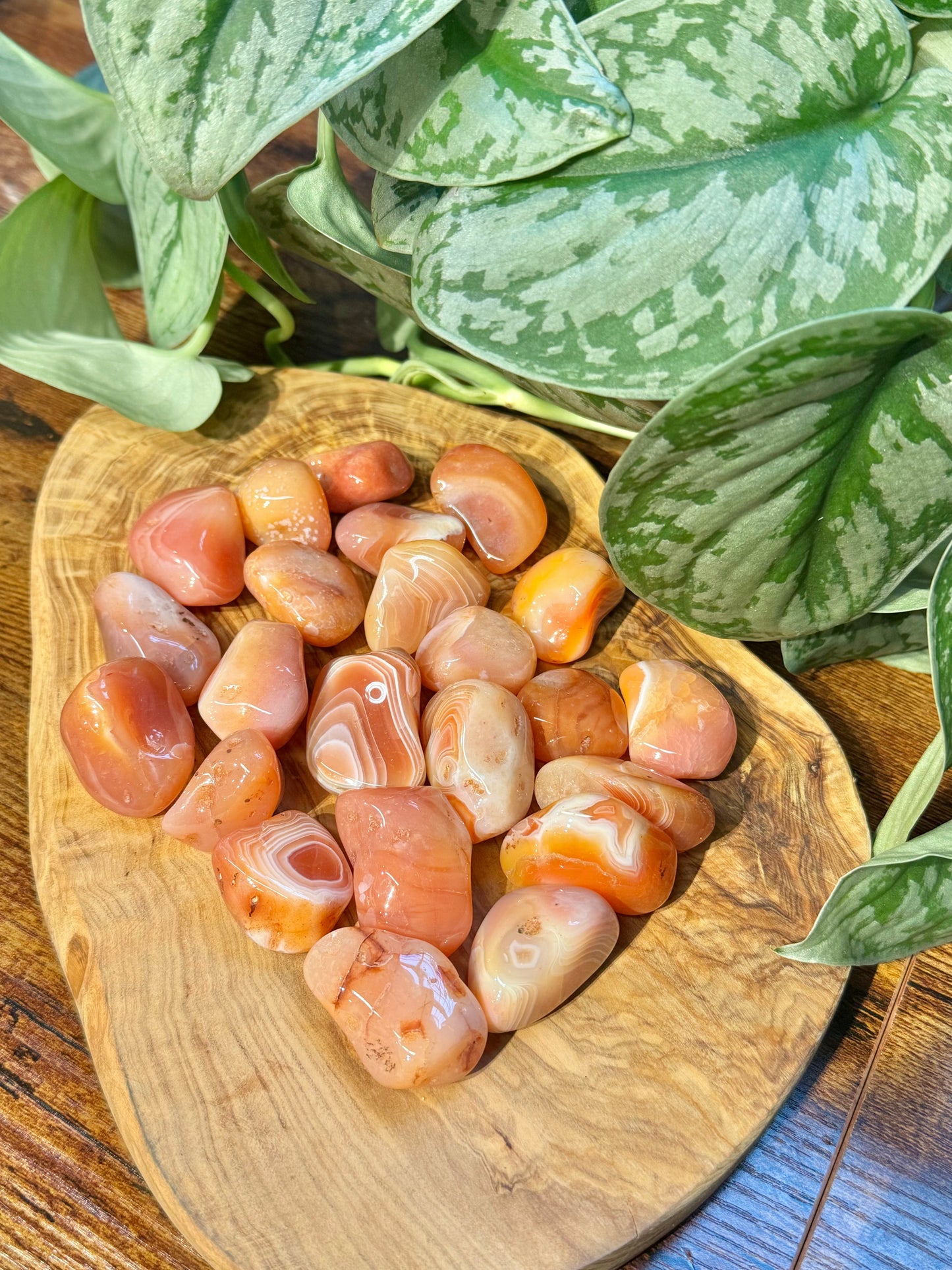 1 beautiful banded carnelian tumble