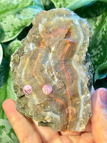 High quality banded Condor agate from Indonesia B