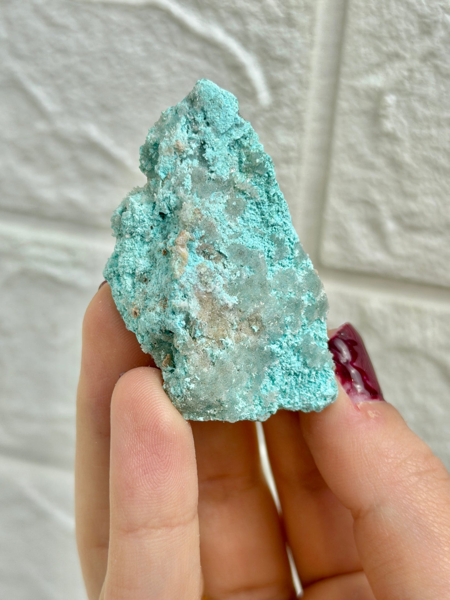 You pick! Aurichalcite specimens from Nevada