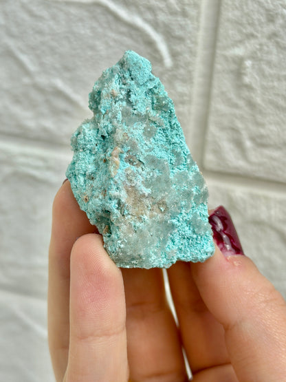 You pick! Aurichalcite specimens from Nevada