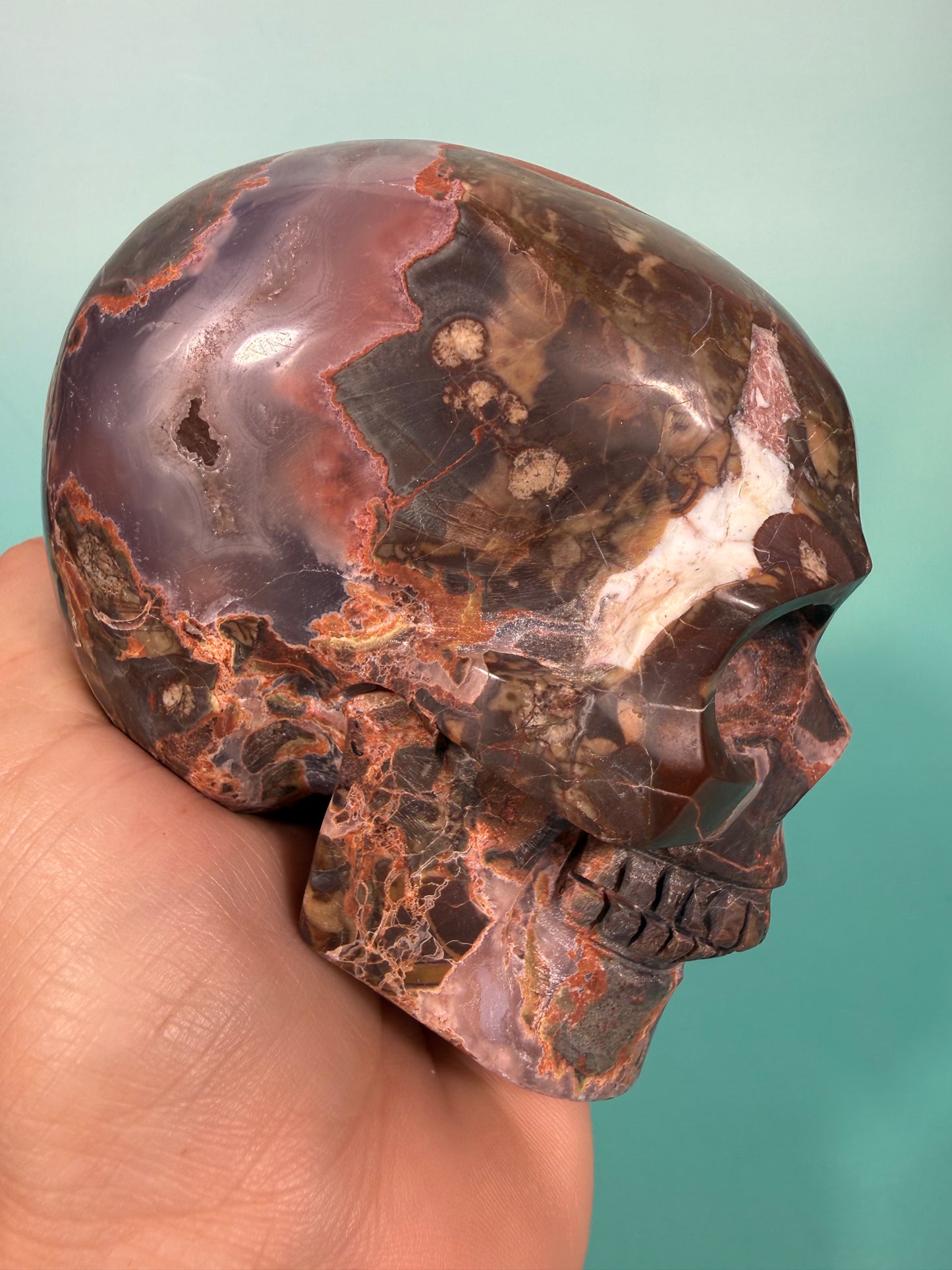 Amazing Money agate skull