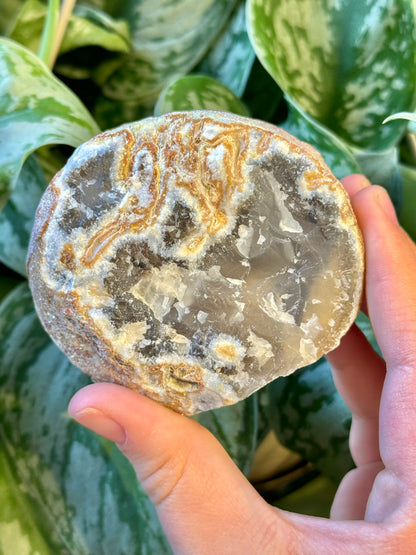 Druzy agate Freeform from Brazil