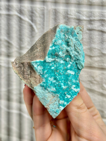 You pick! Aurichalcite specimens from Nevada