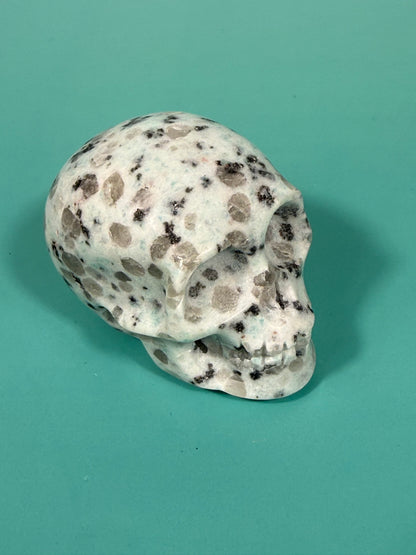 Kiwi jasper skull
