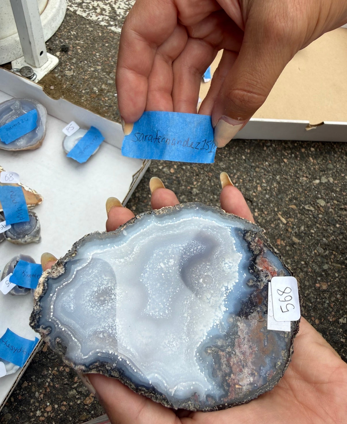 Sarafernandez1517 - Agate