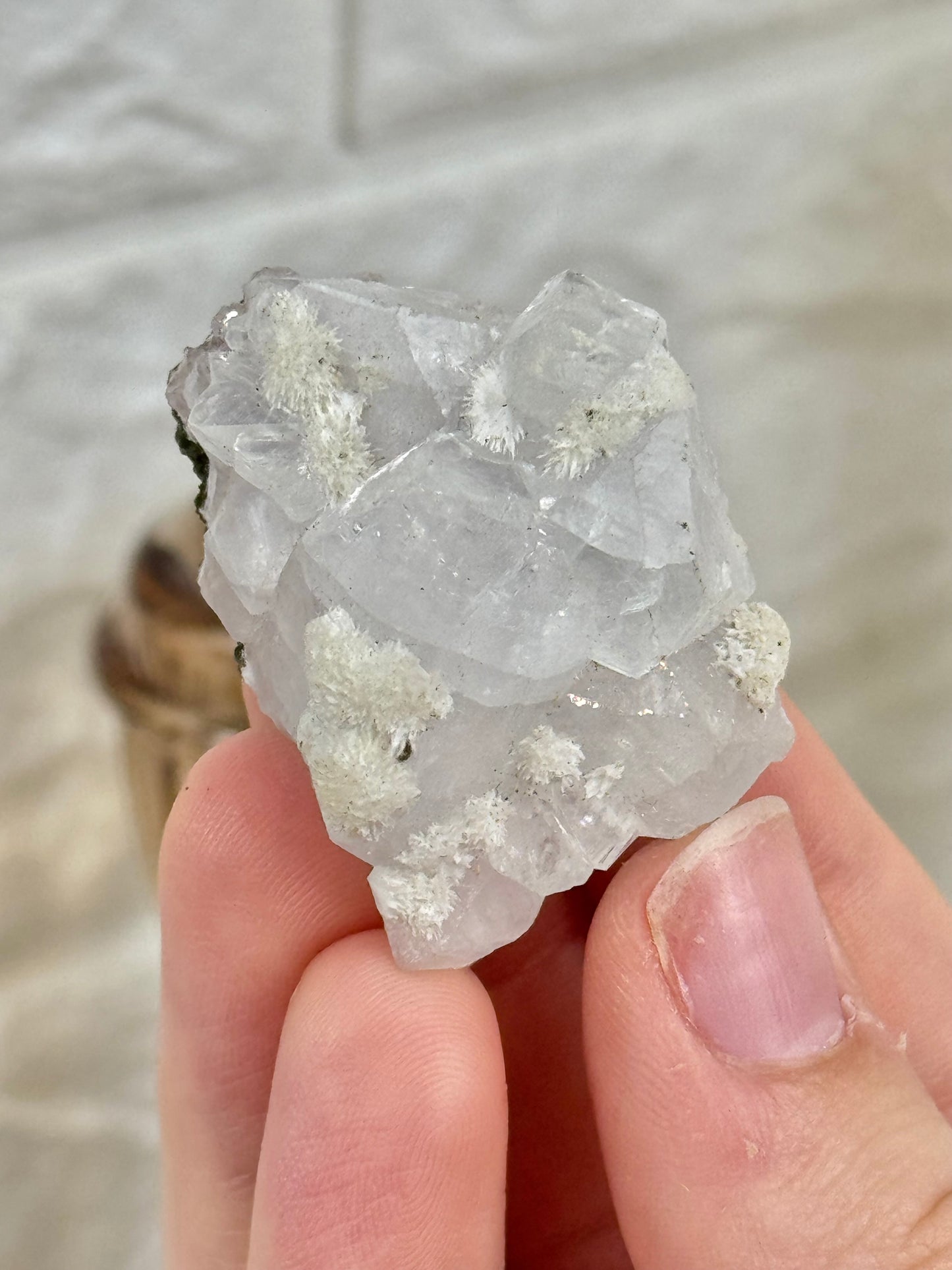 You pick! Pale rose apophyllite with mordenite from India