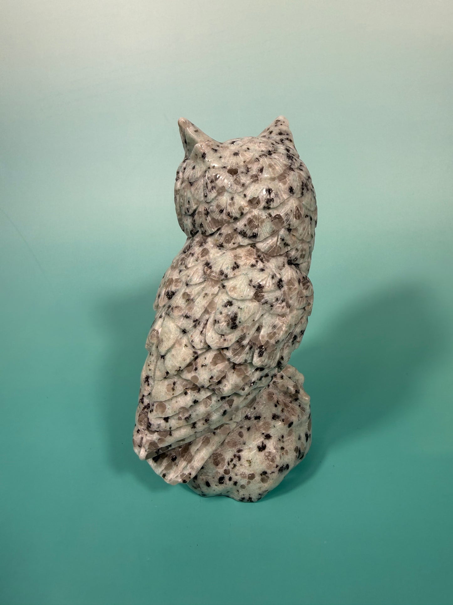 LG kiwi jasper owl B