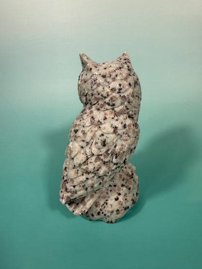 LG kiwi jasper owl B
