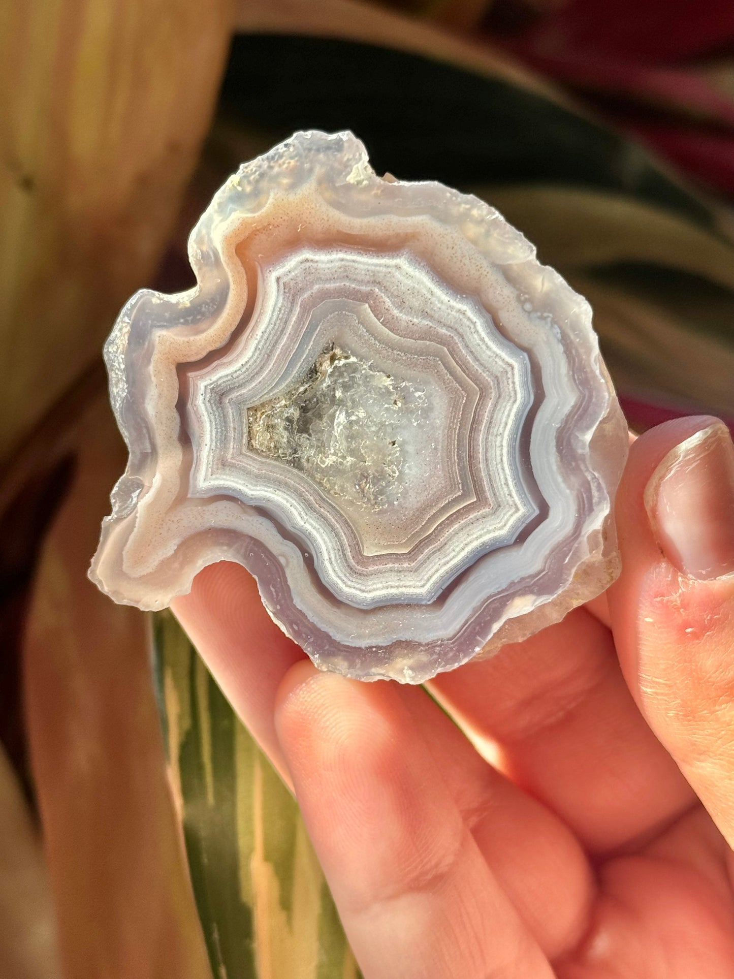 Pink/purple laguna agate E