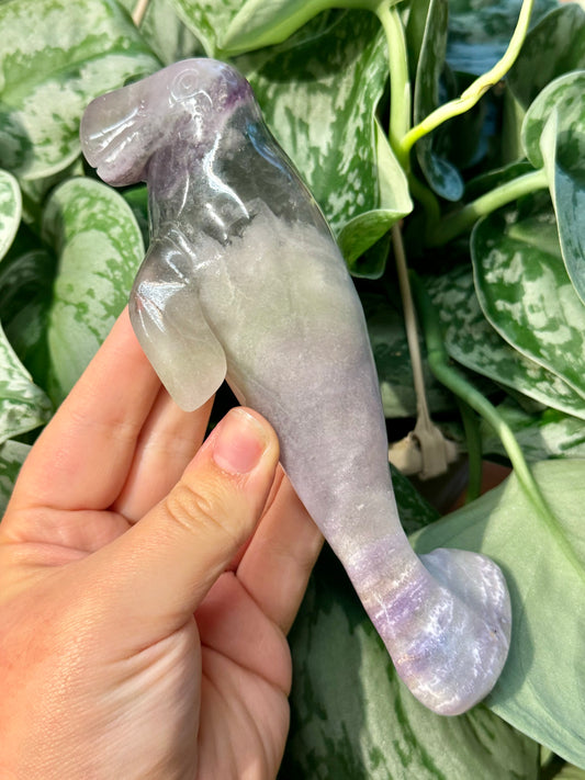 LG silky fluorite manatee B