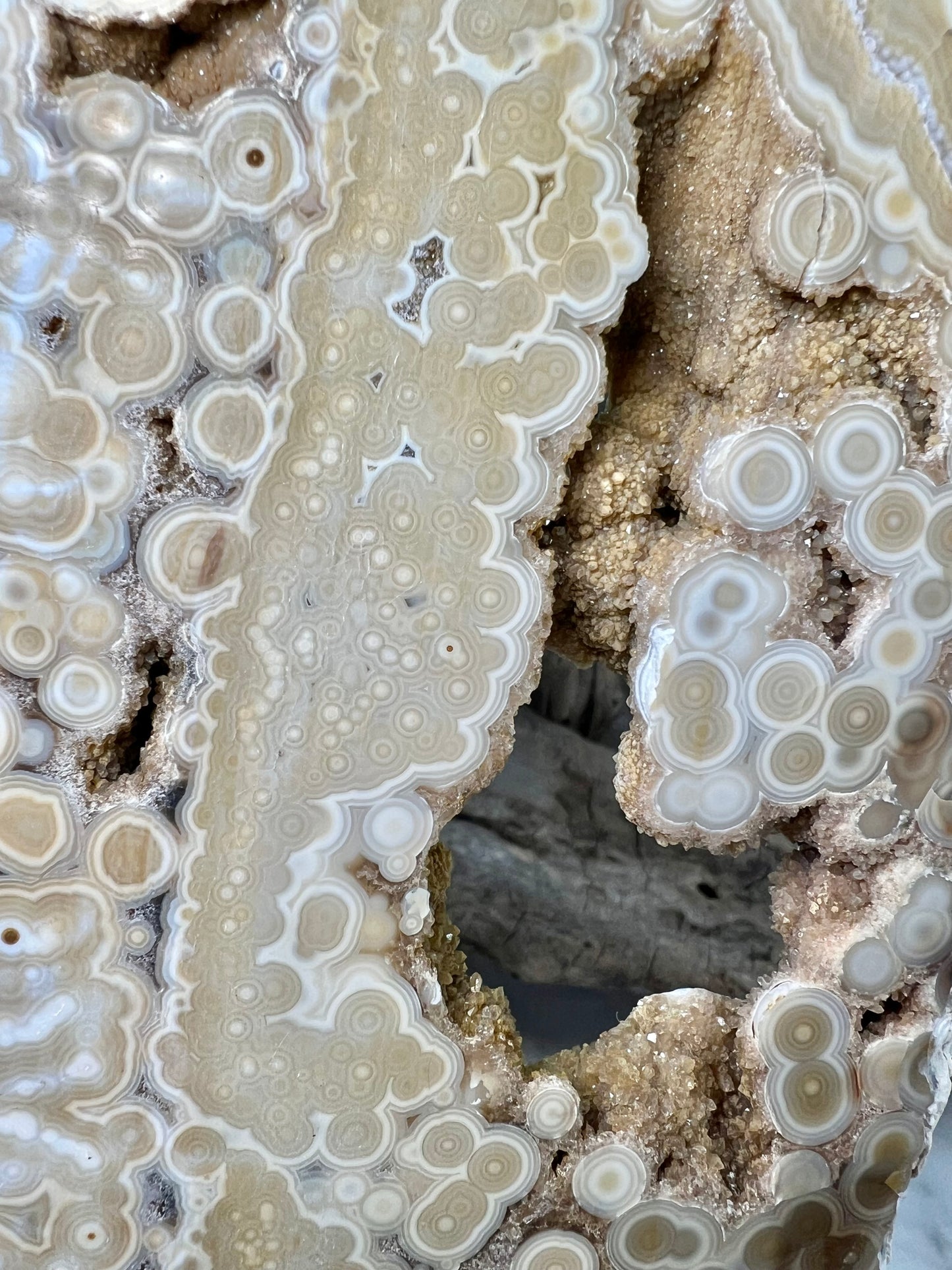 AAA yellow druzy orbicular ocean jasper slab from Madagascar