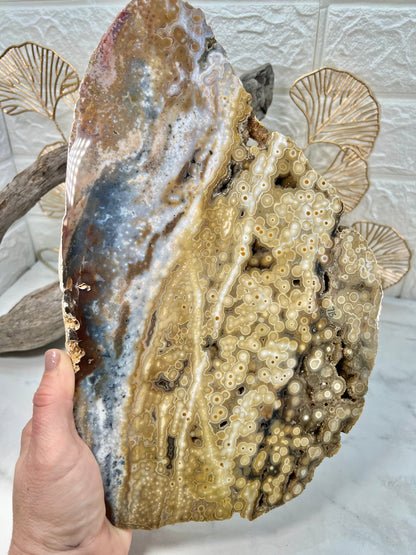 AAA yellow druzy orbicular ocean jasper slab from Madagascar