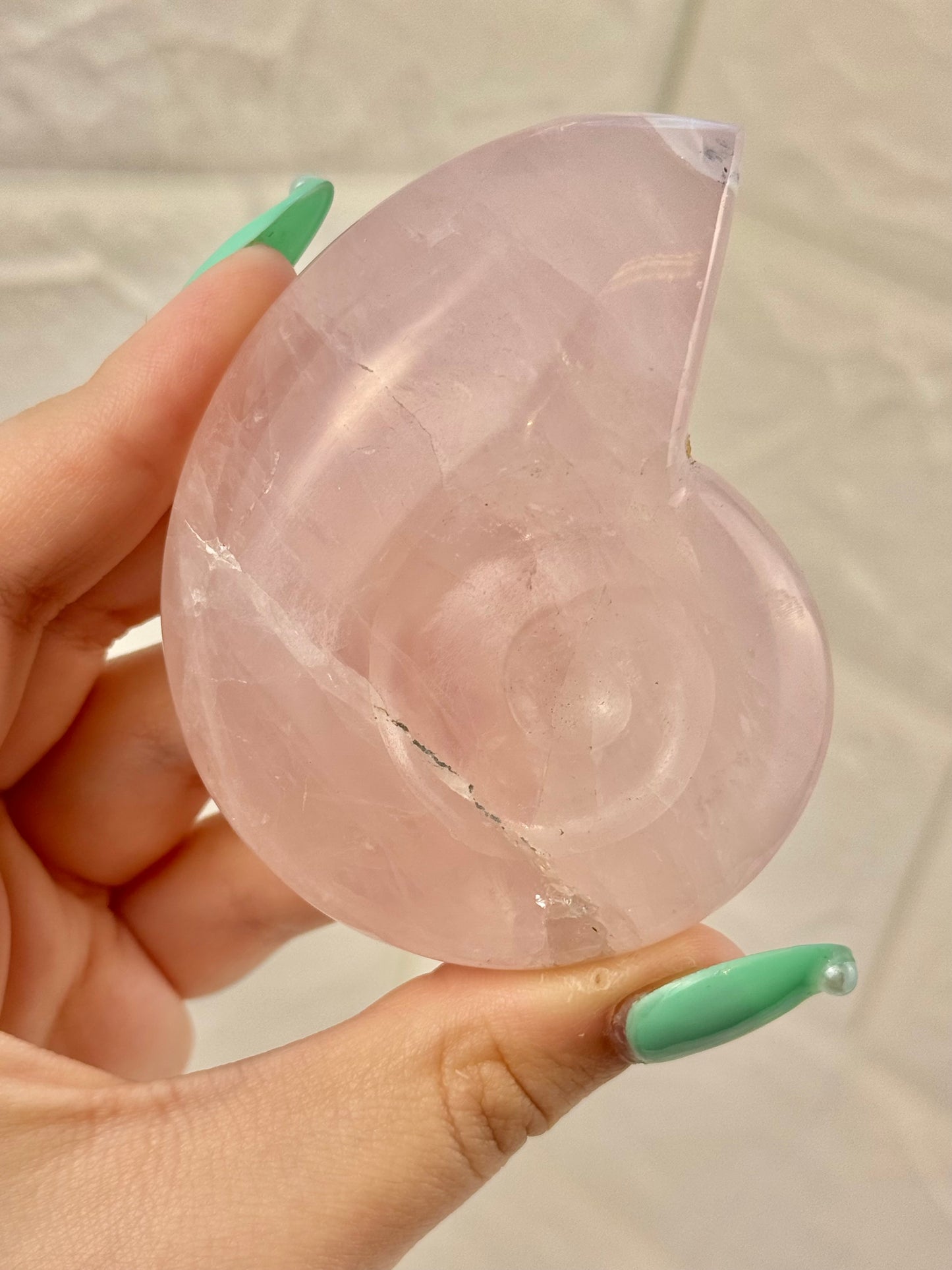 1 rose quartz Nautilus shell
