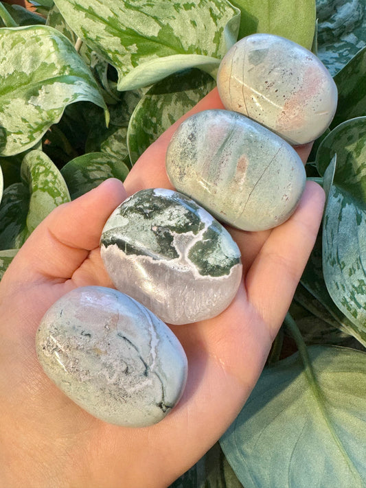 1 pastel unicorn jasper palm stone from India C