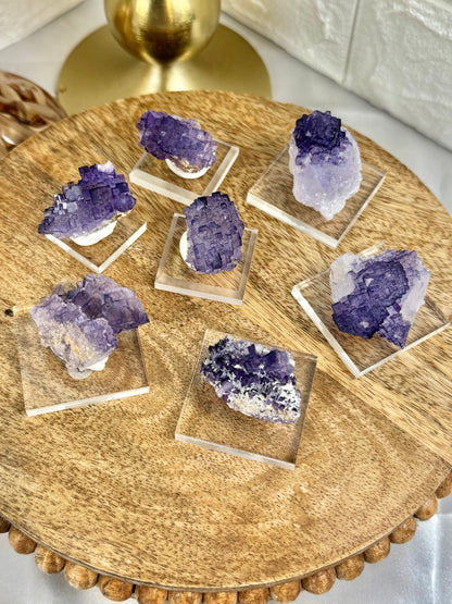 You pick! Deep purple fluorites from the Tule mine in Mexico