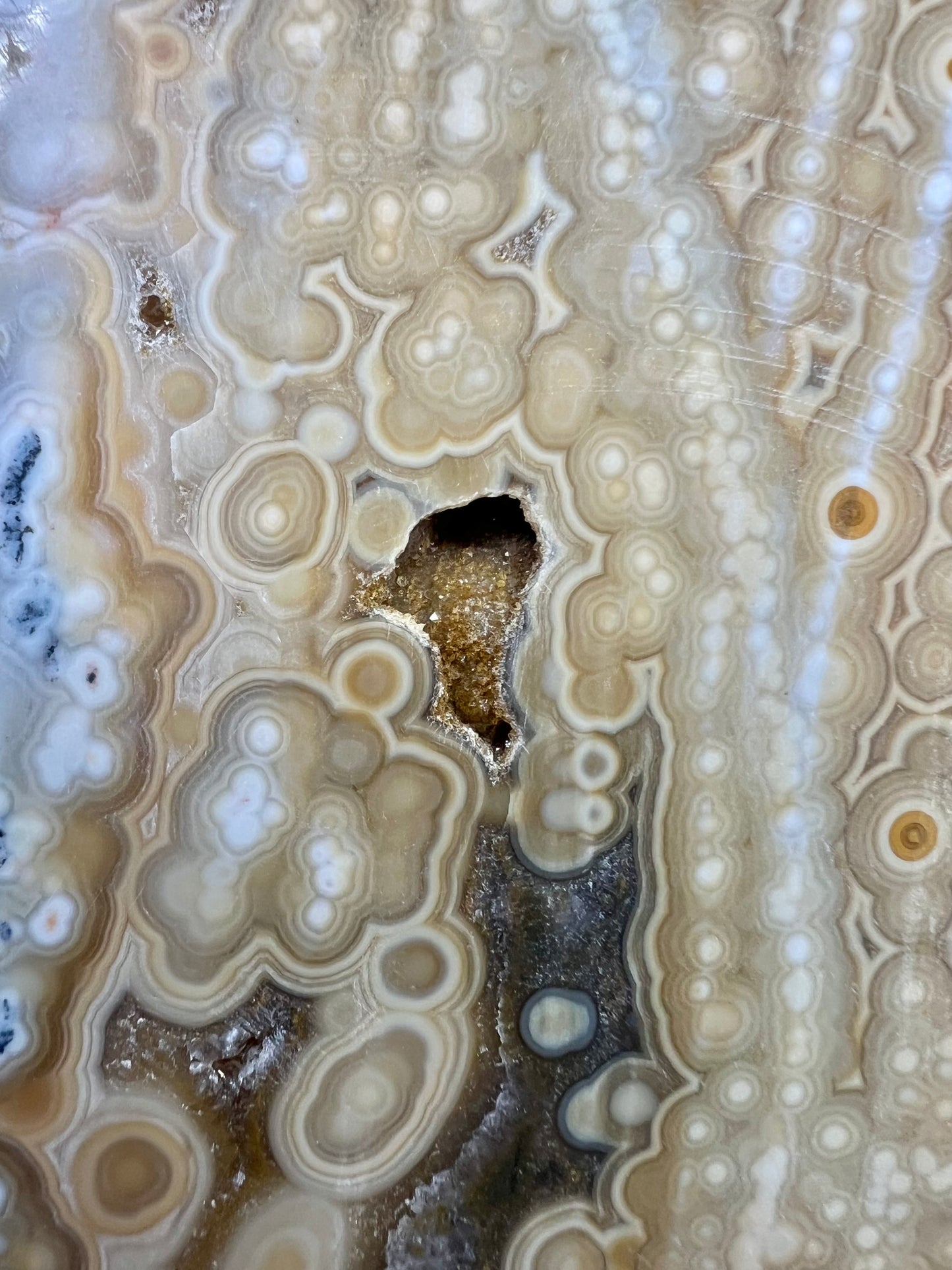 AAA yellow druzy orbicular ocean jasper slab from Madagascar