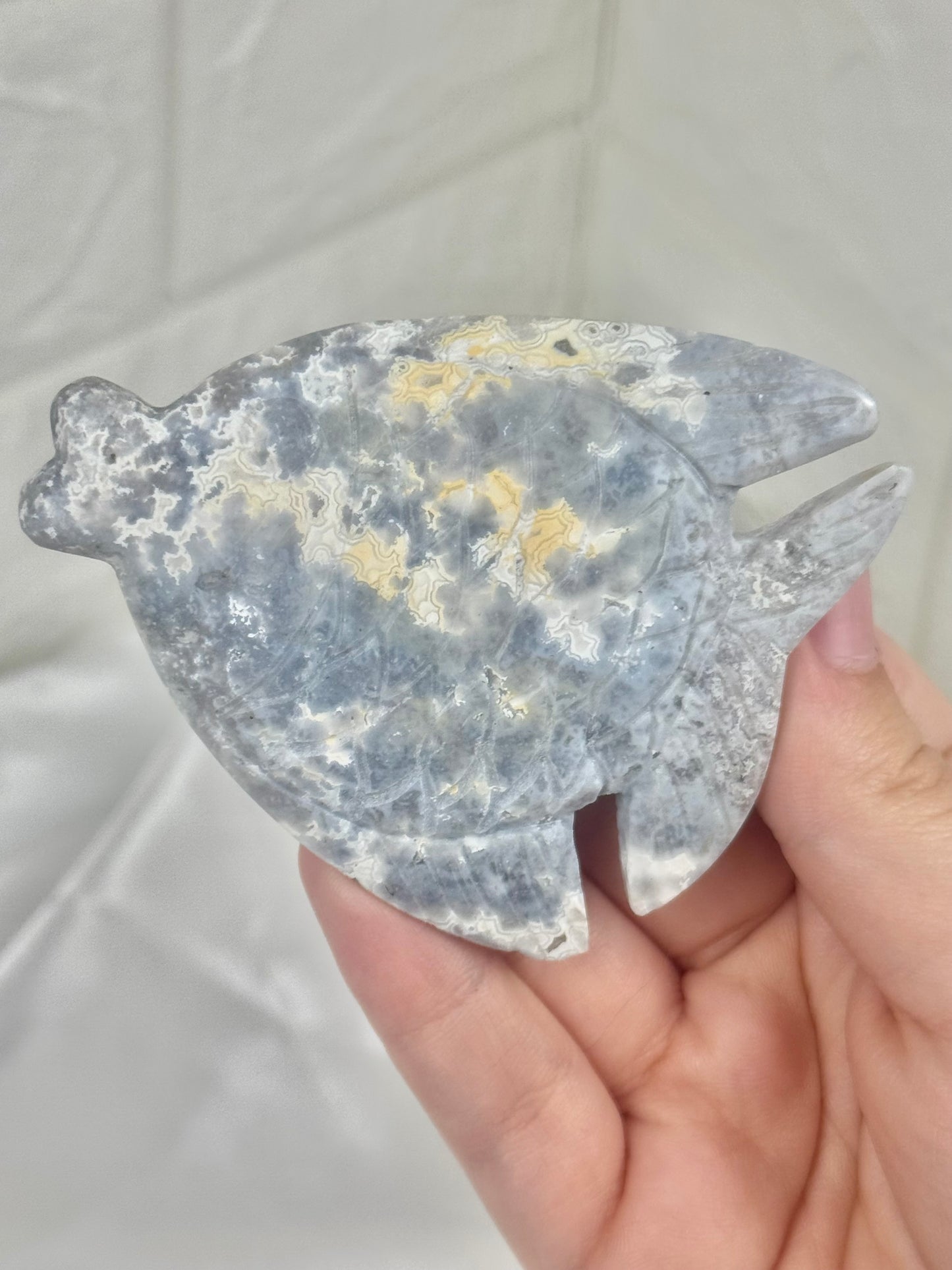 1 beautiful blue plume agate fish