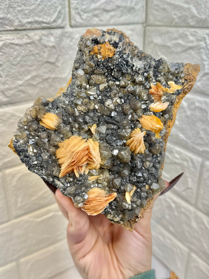 You pick! Peachy barite with cerussite from Morocco