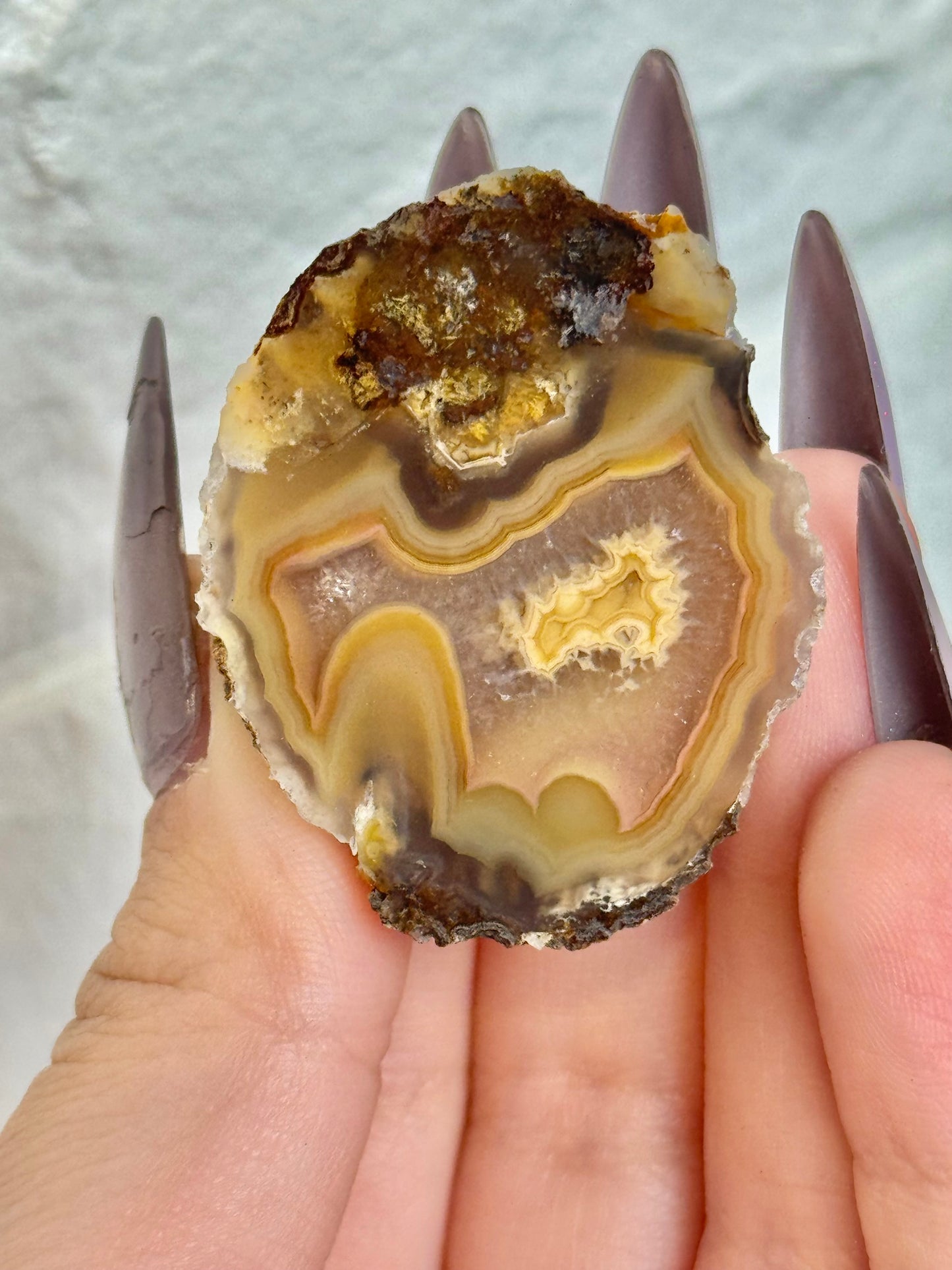 You pick! Beautiful fall toned Laguna agates from Chihuahua Mexico