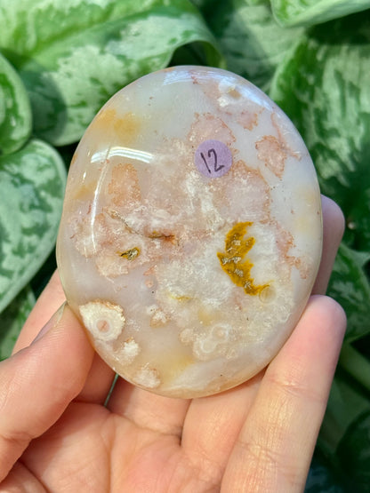 Flower agate palm stone from Madagascar