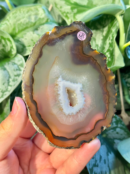 Beautiful agate coaster from Brazil D