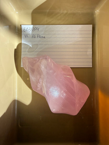 Eb33394-rose