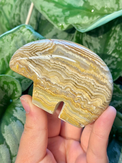 1 LG intuitive yellow crazy lace agate bear from Indonesia