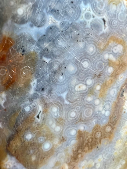 AAA yellow druzy orbicular ocean jasper slab from Madagascar