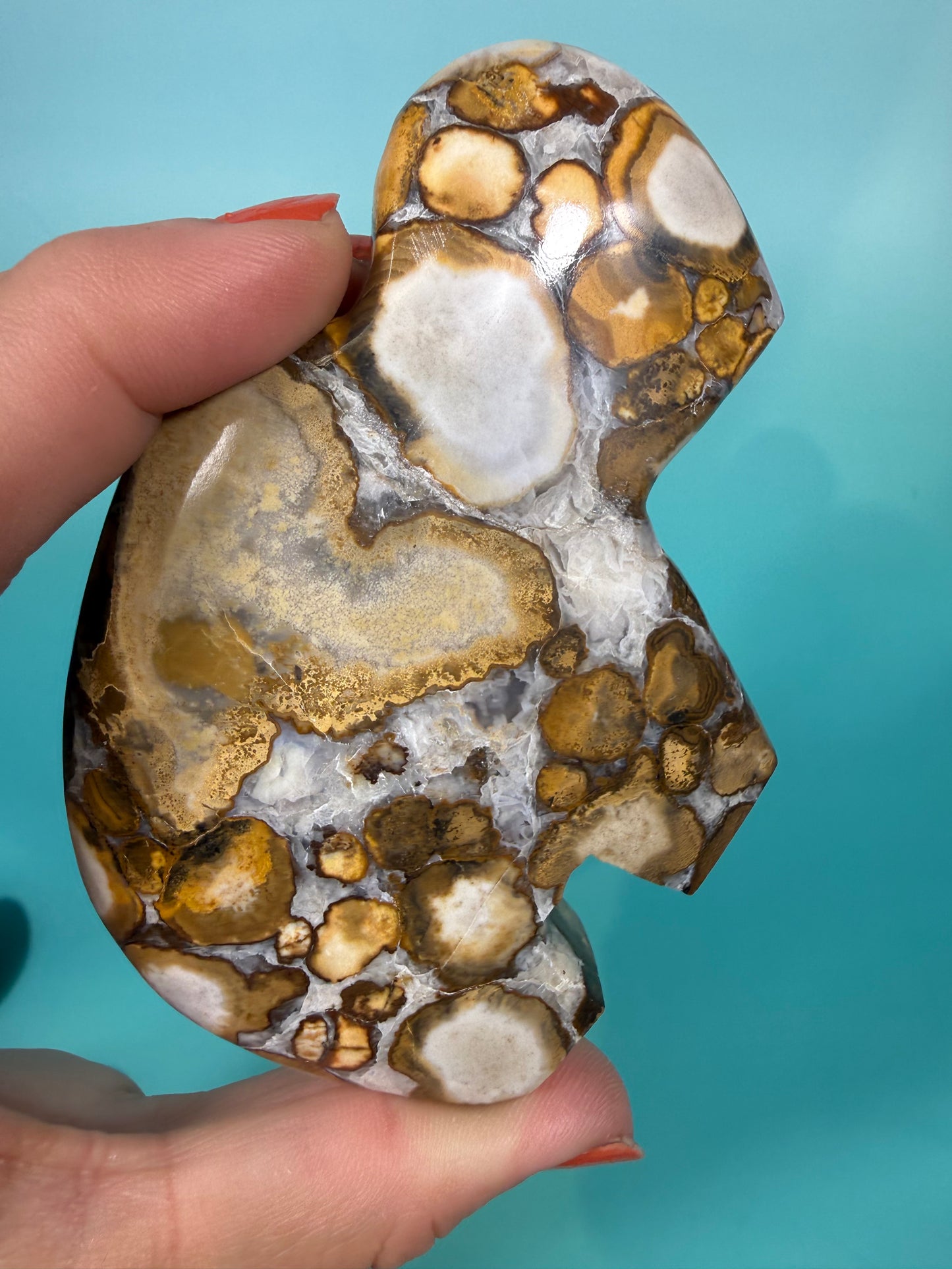 Cobra jasper buffalo