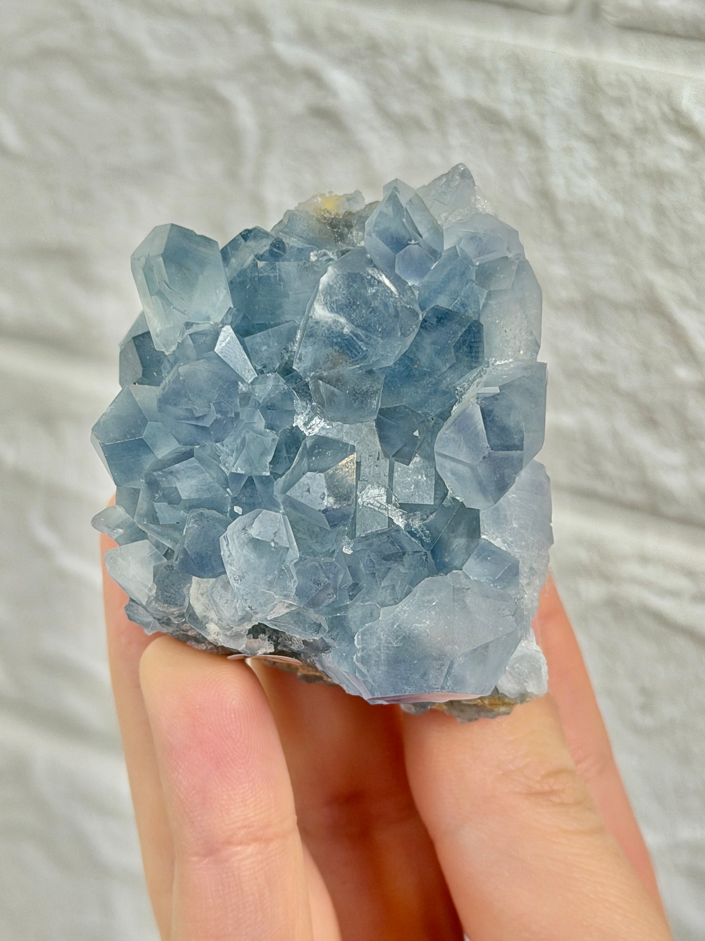You pick! Incredible high-grade Celestine specimens from Afghanistan